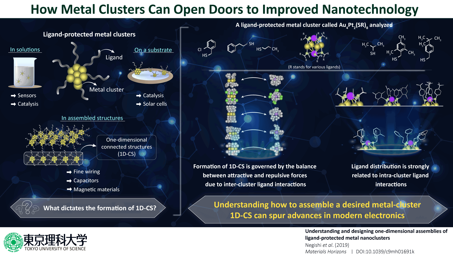 TUS_41_Infographics_small size