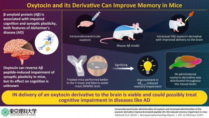 Infographic
