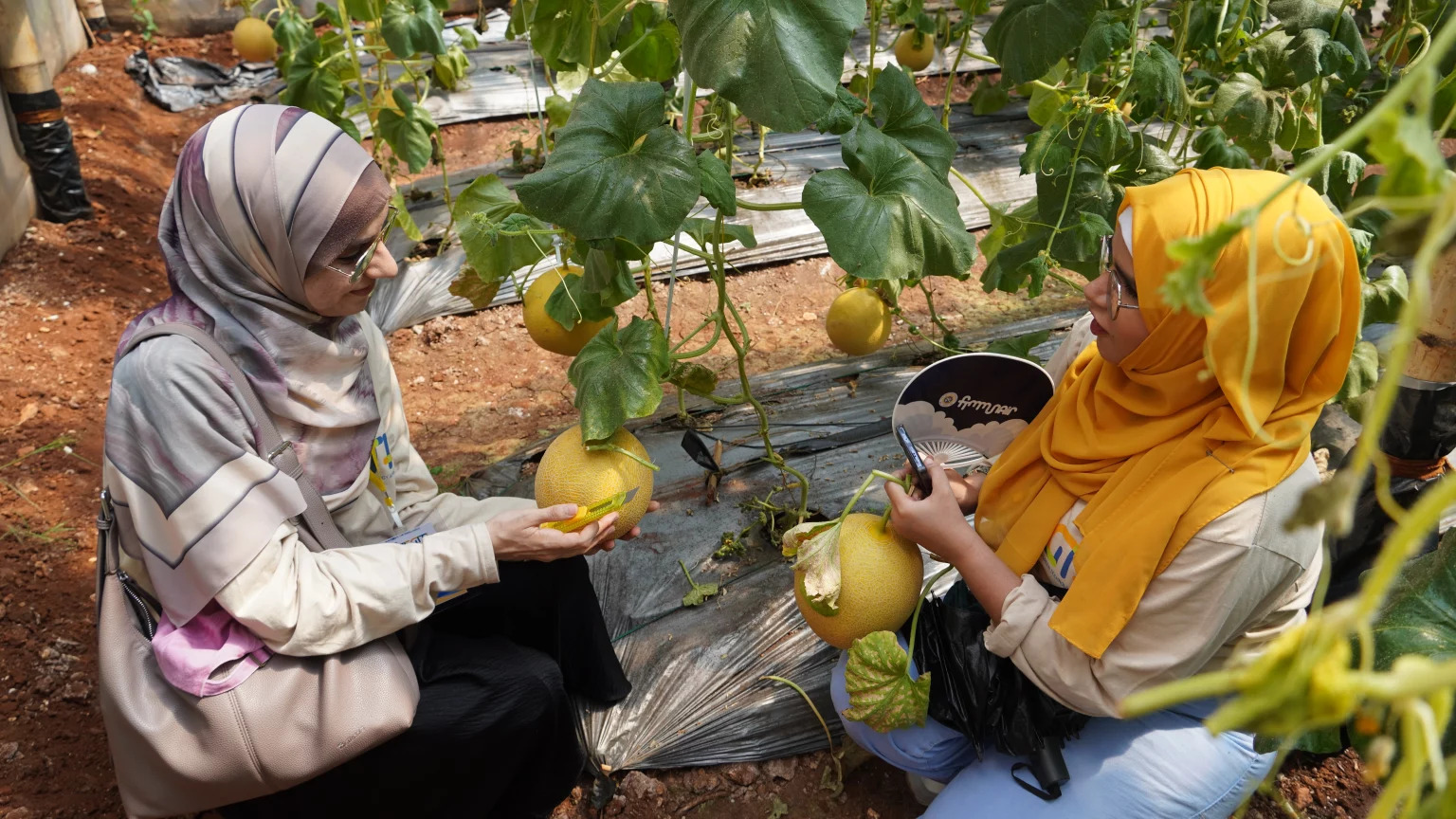 UNAIR sustainable initiatives in Gili Iyang
