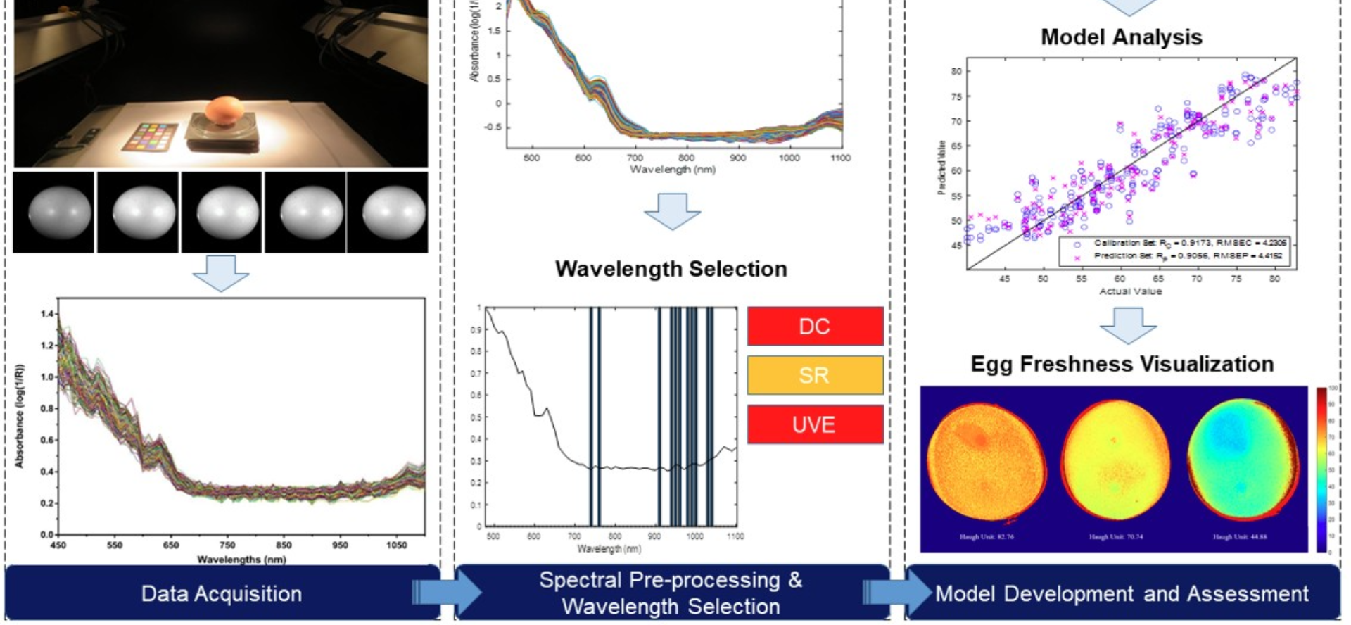 TMU Develops AI Egg Freshness Scanner