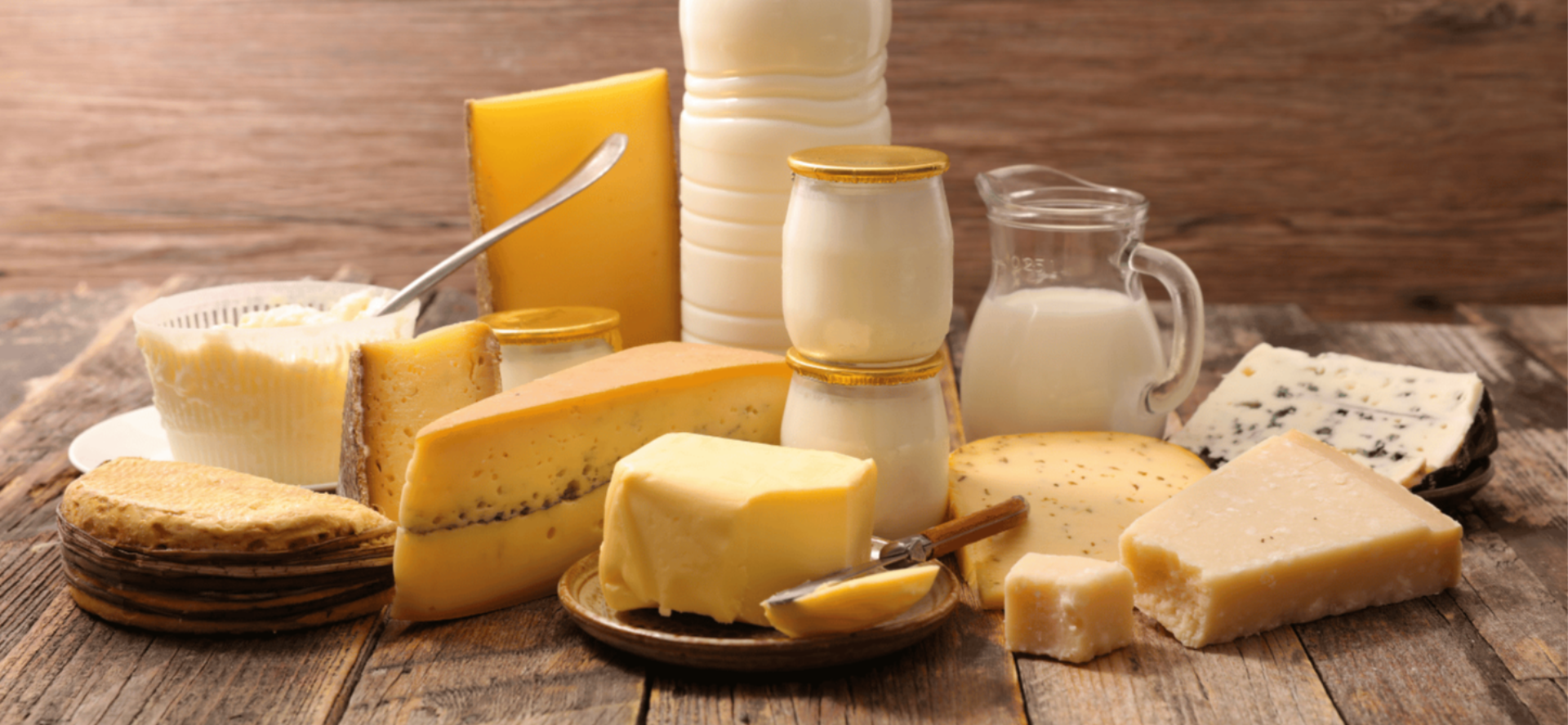 TMU Expert Insights on Dairy and Dementia Risk