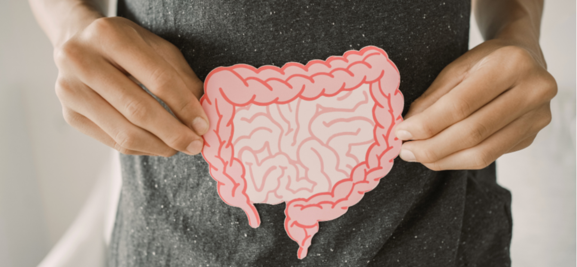 Study Finds Dietary AGEs Harm Gut Health