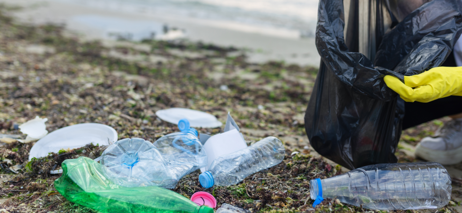 Thai NuRA Project Targets Coastal Pollution