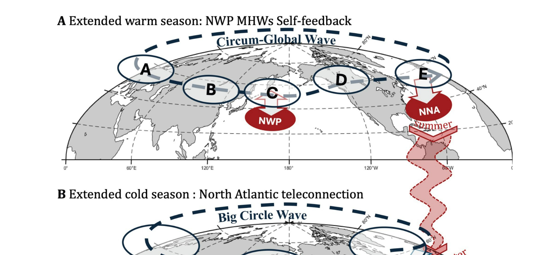 Why Marine Heatwaves Persist