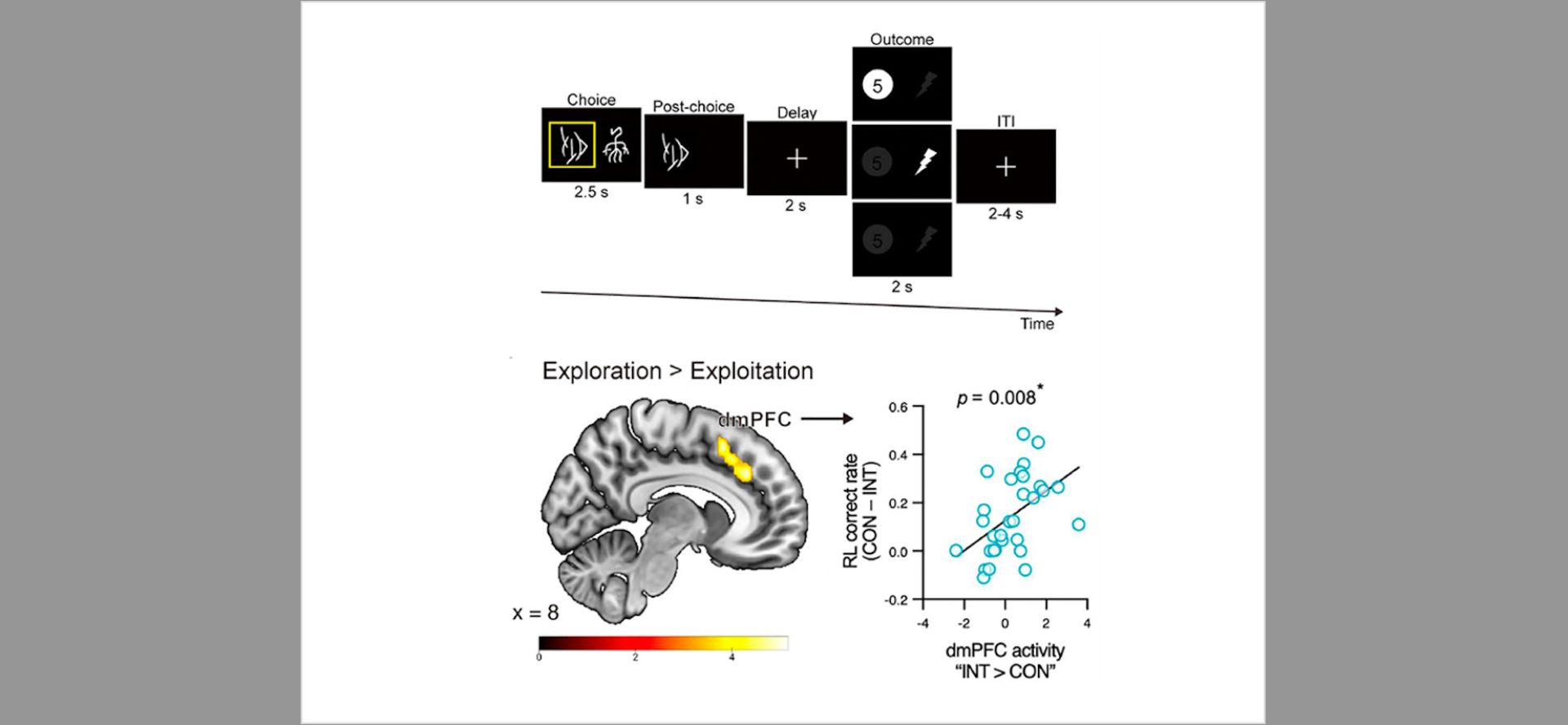 NTU Maps Dopamine Role in Brain Choices