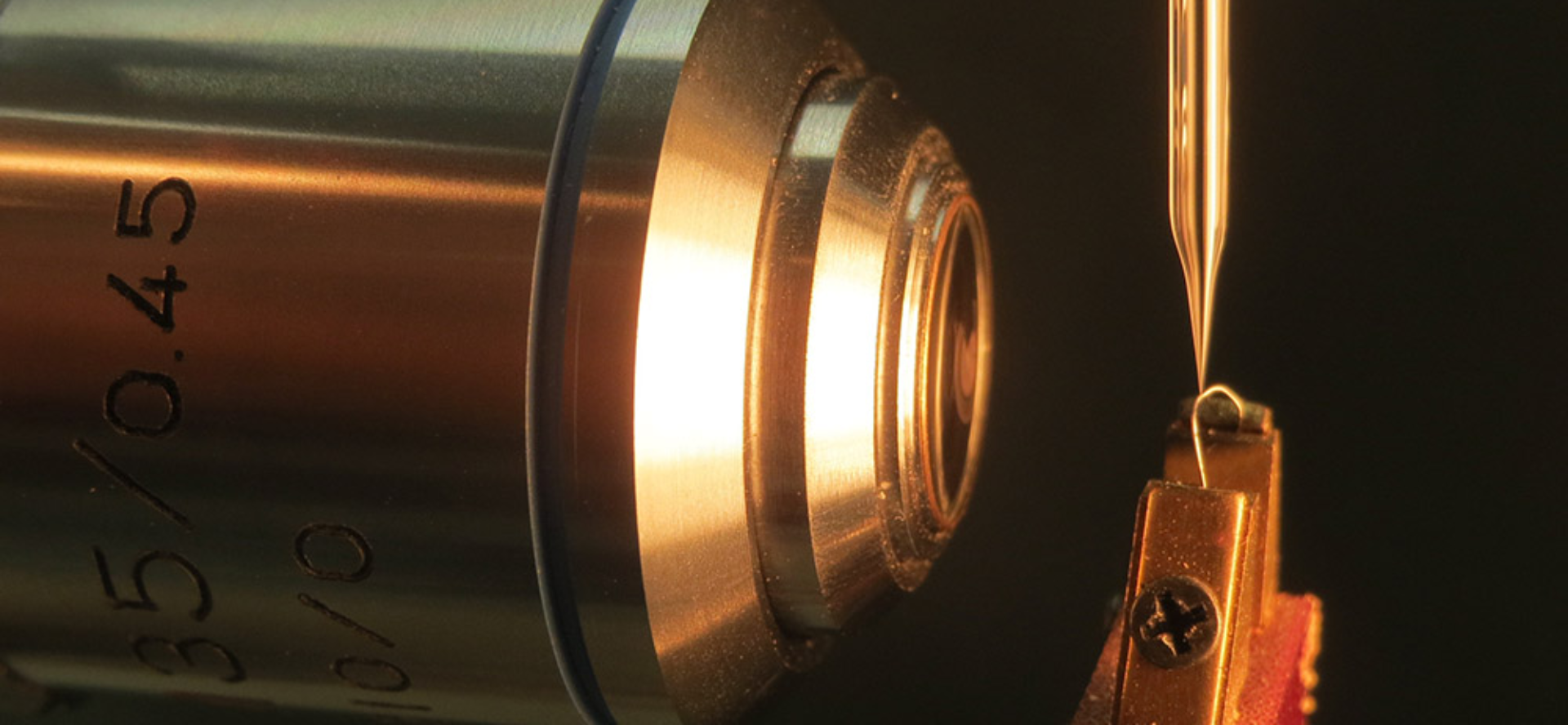NTU Platform Maps New Cellular Ion Currents