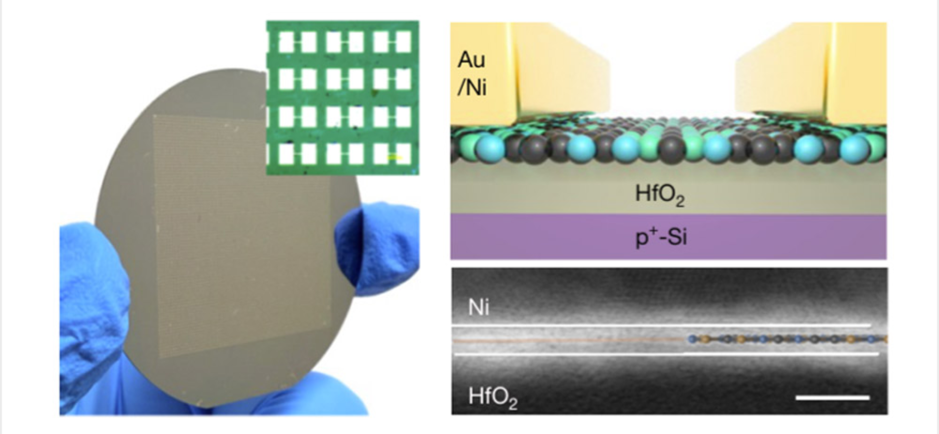 NTU Achieves 2D Semiconductor Breakthrough
